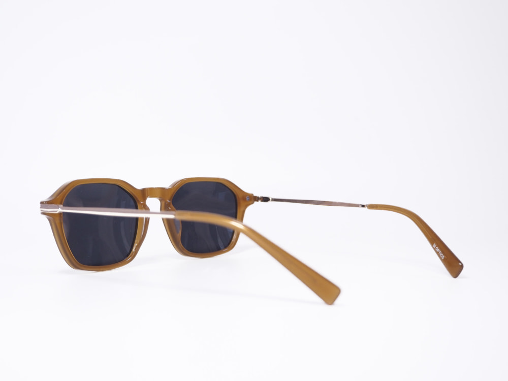 SI OPTICS SI OPTICS