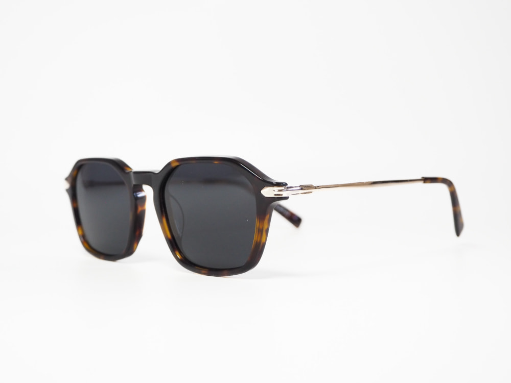 SI OPTICS SI OPTICS