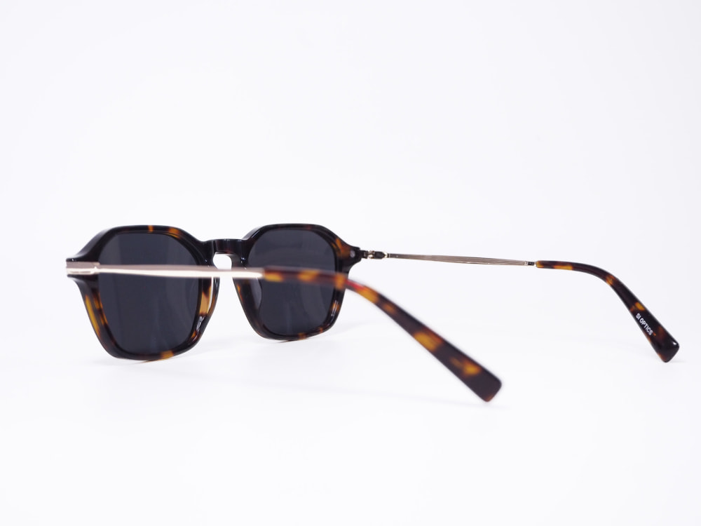 SI OPTICS SI OPTICS