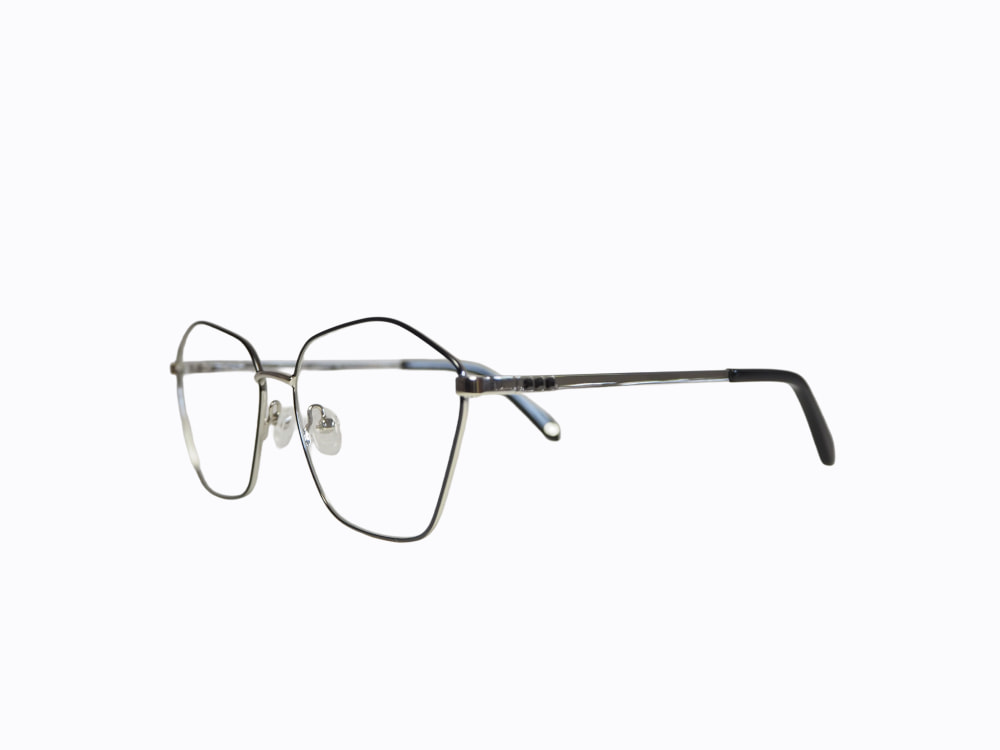 NICOLETA BUCHE 23016c1 NICOLETA BUCHE 23016c1